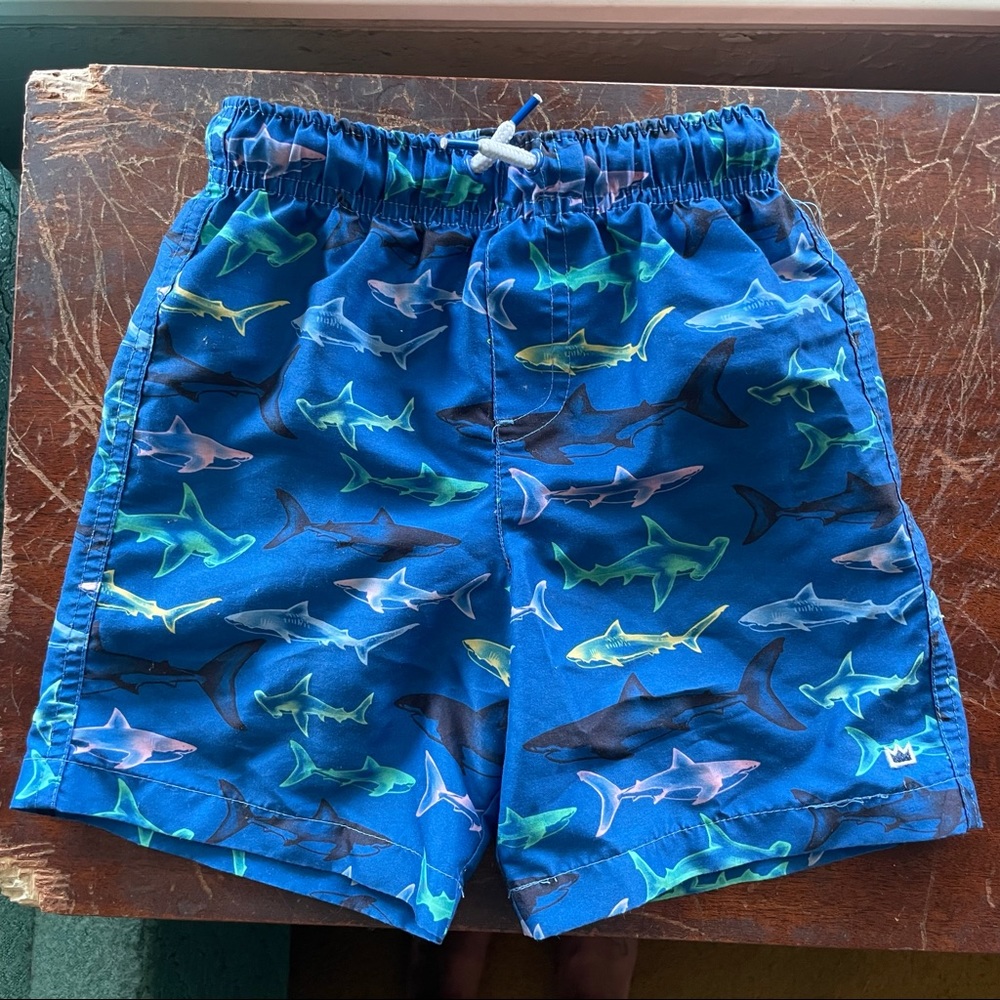 EUC Shark swim shorts
